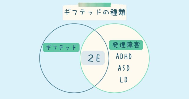 ギフテッドの種類